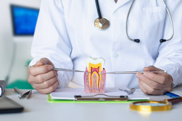 Best Knocked-Out Tooth (Avulsed Tooth) Treatment in Mckinley, PA
